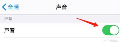 怎么开启iPhone旁白中的声音