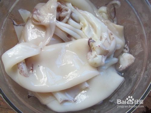 红方小鱿鱼