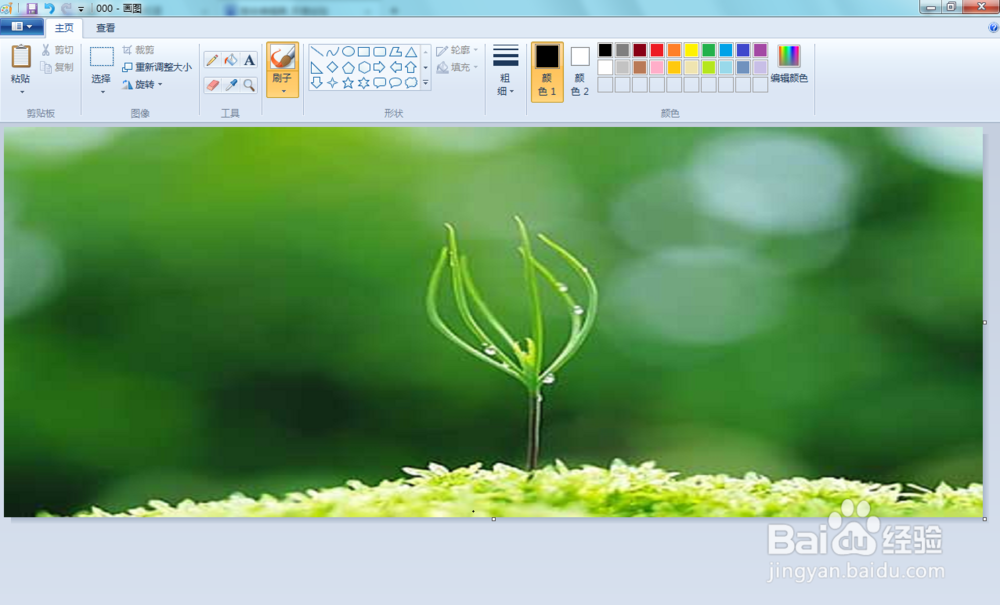 如何使用Windows画图软件调整图片大小