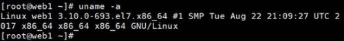 Linux操作系统uname命令详细教程