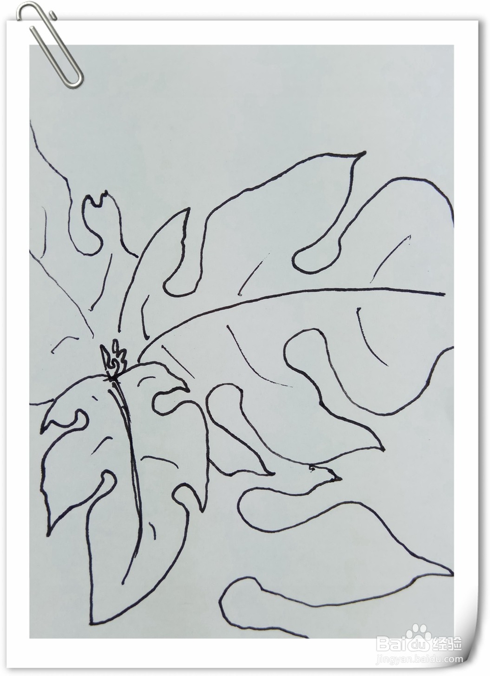 怎样画钢笔画构树叶子？