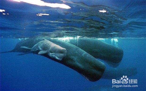 憋屁不放会中毒，你信吗？