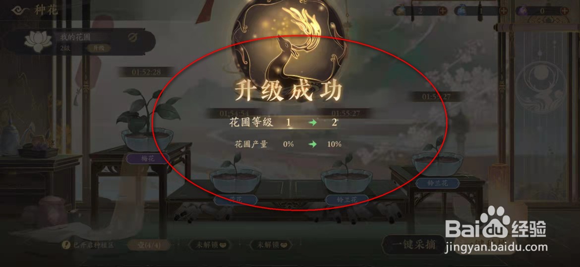 花亦山心之月怎么升级花圃