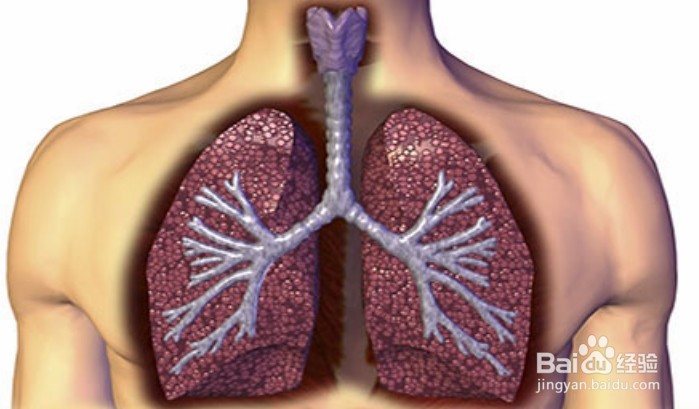 新型肺炎的主要症状有哪些？
