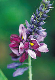 方便解酒,做到千杯不倒