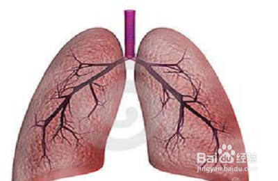 适合春季养生食用的粥：[4]