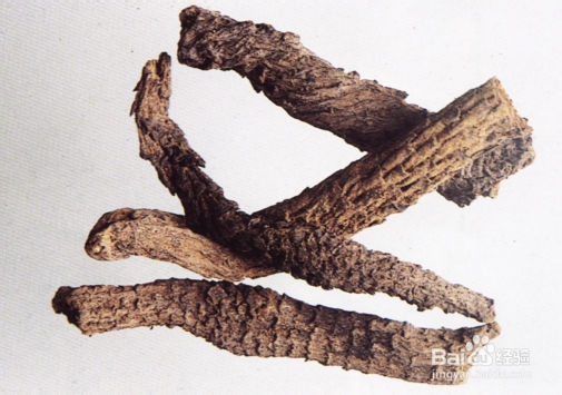 肉苁蓉人工种植技术