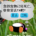 如何弄死QQ宠物