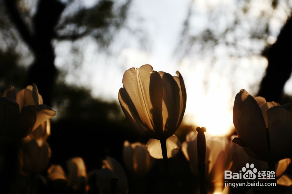 阿里巴巴如何使用关键词优化！！！