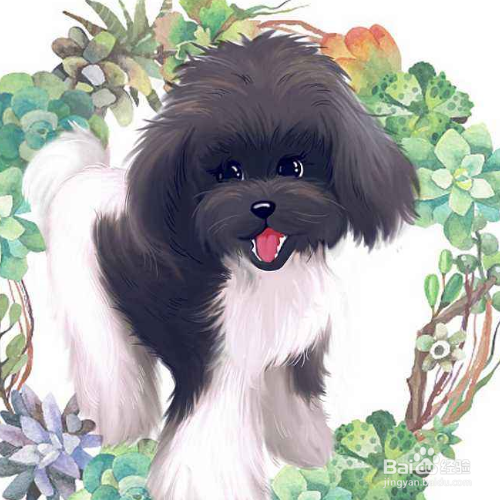 怎么给狗狗梳毛