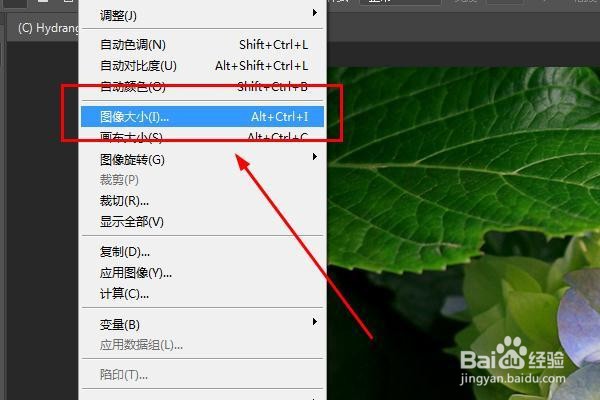 PS如何看图片的尺寸像素