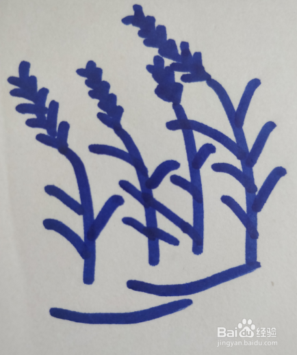 芦苇丛的简笔画怎么画?