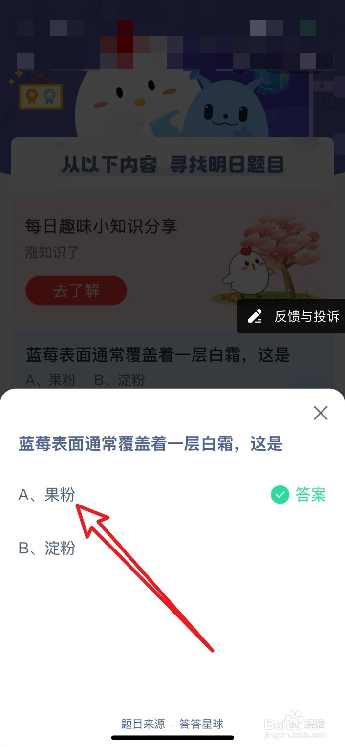 蚂蚁庄园1月2日蓝莓表面通常覆盖着一层白霜
