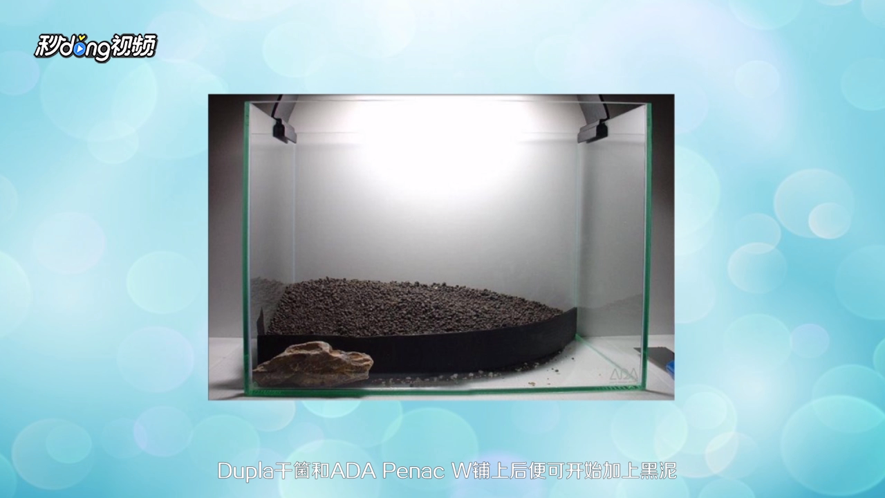 35CM小缸如何造景