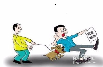 一个月的泰迪怎么养