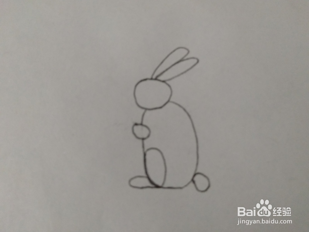 简笔画可爱小白兔的画法