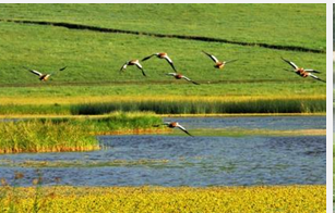 自驾车周边游去哪里(五)(临沂市)