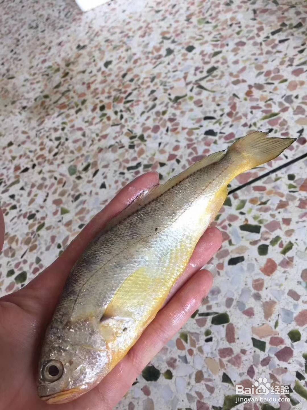 黄花鱼汤怎么煮好喝