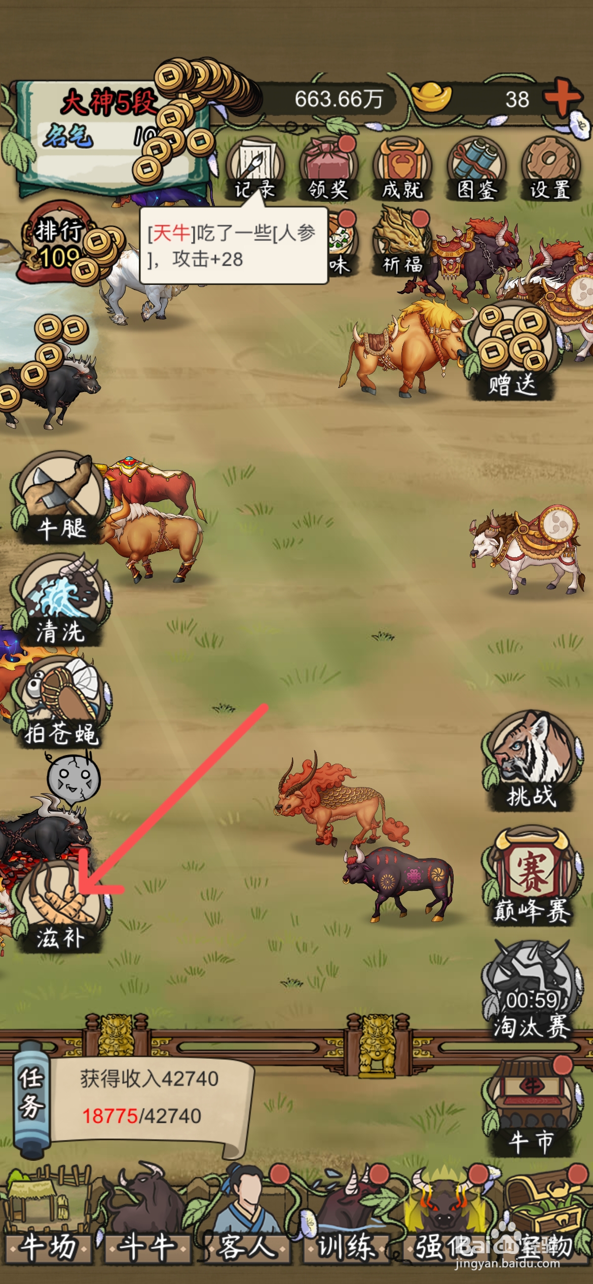 叫我养牛王在哪给斗牛买冬虫夏草滋补