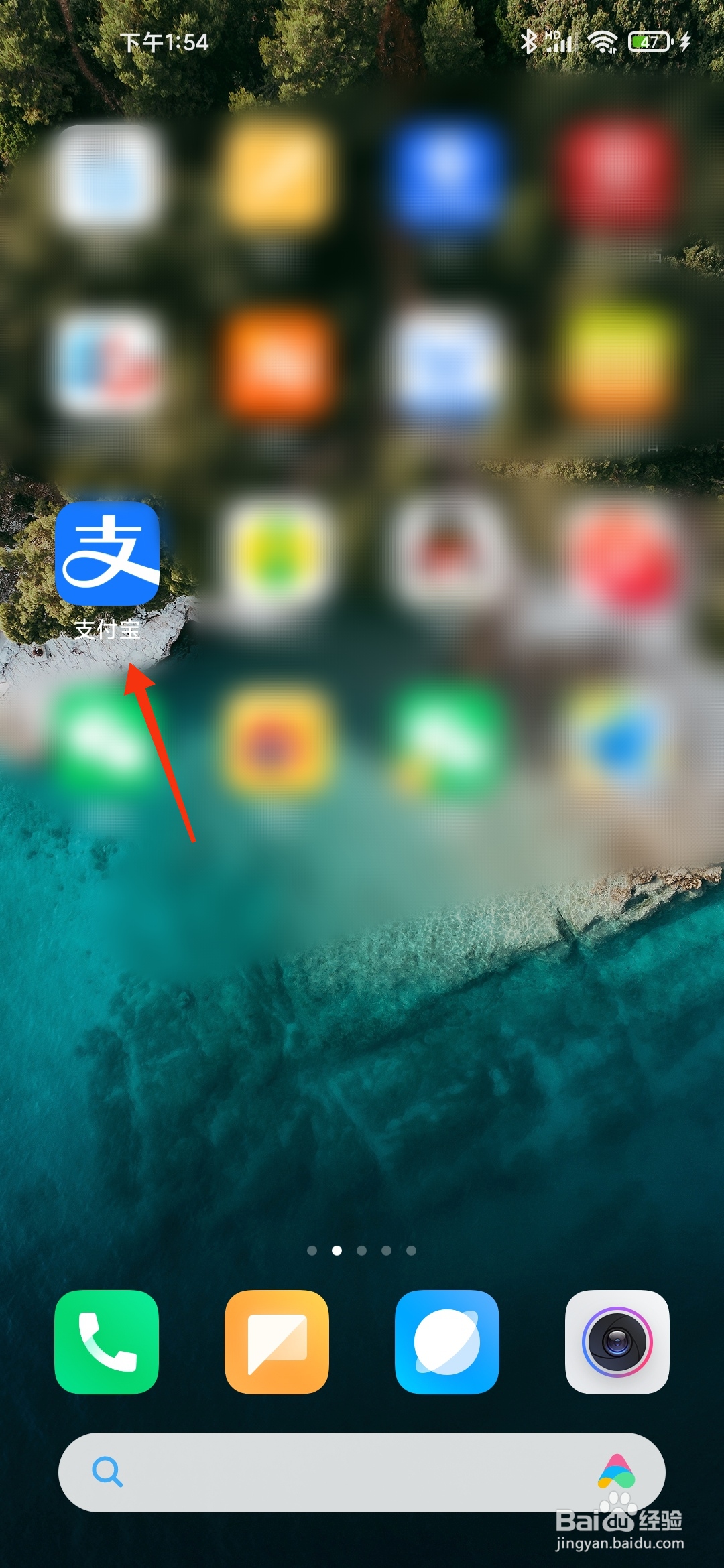 支付宝会员积分兑换记录如何查询