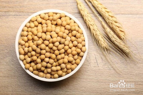 最有营养的食物排行你知道吗
