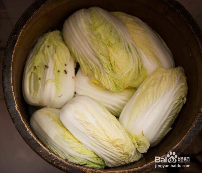 怎么腌酸菜不烂?