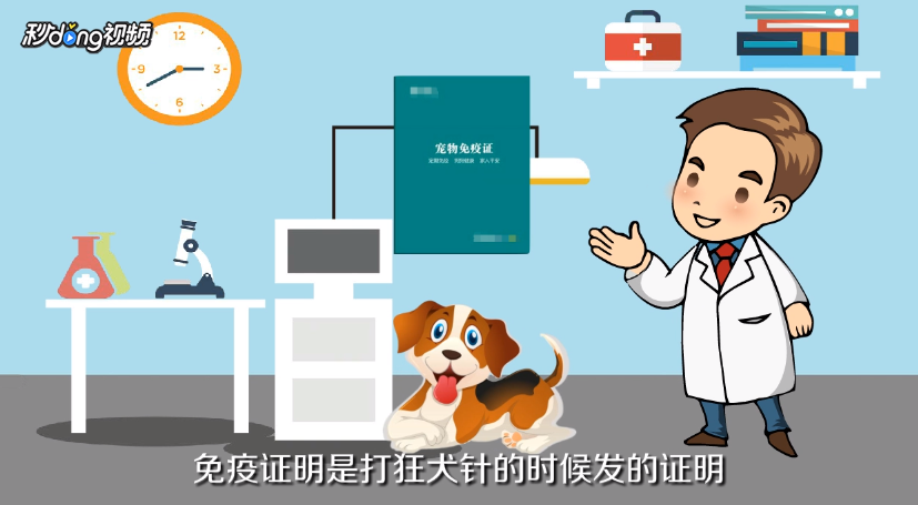北京宠物如何托运