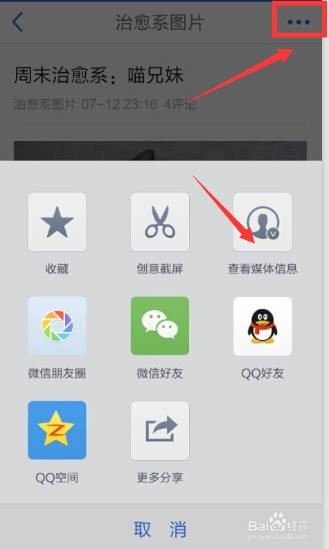 怎么查微信公众号的阅读量,分享量,点赞量