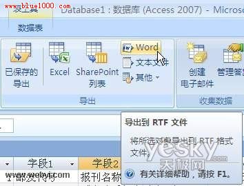 用Word美化设置和打印Access数据表格
