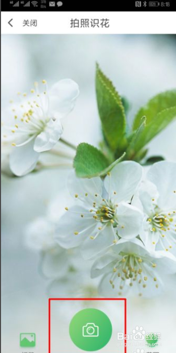 怎么使用翼支付的拍照识花功能