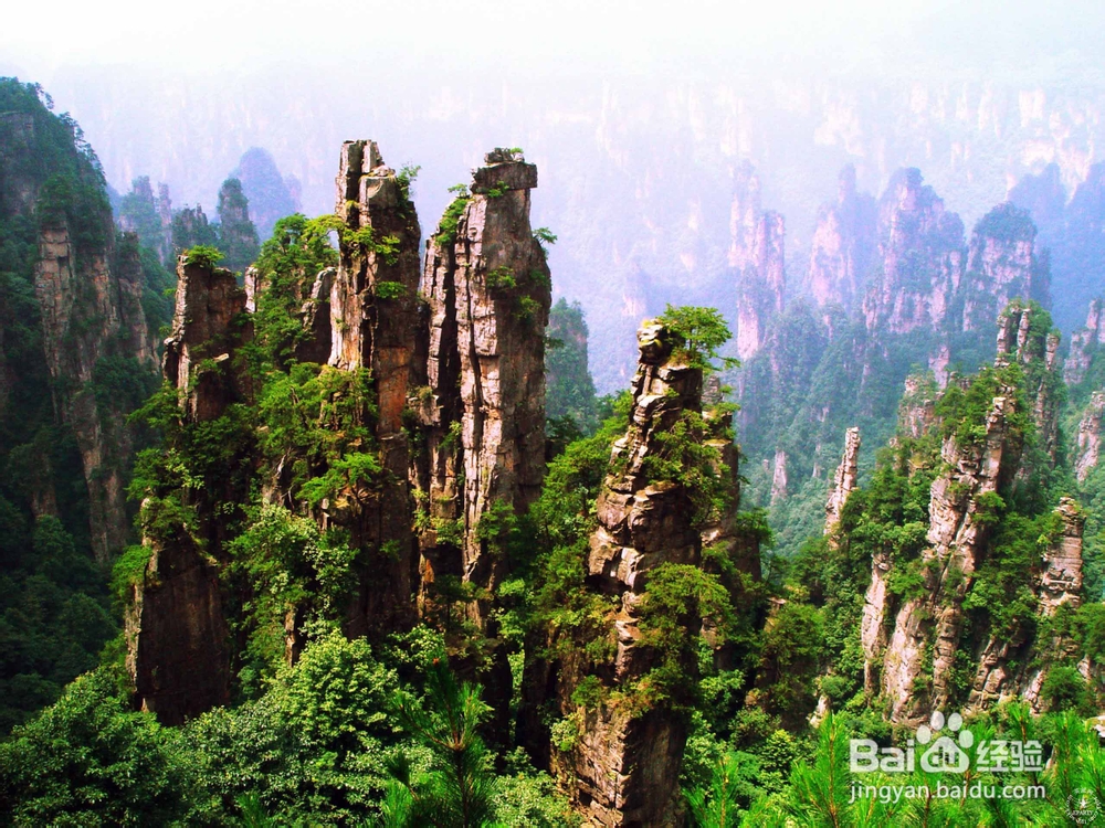 长沙到张家界自助游