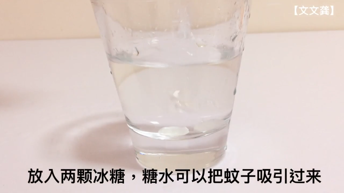 如何自制捕蚊虫水