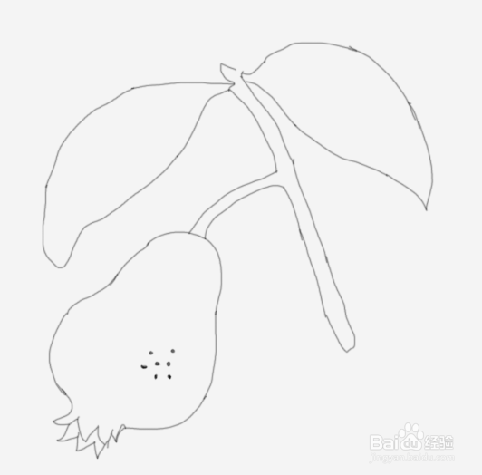 简笔画石榴是怎么画的