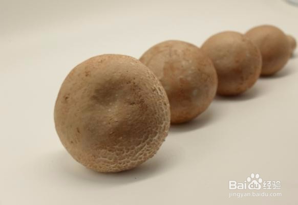 刺身褐菇应该怎么清洗?