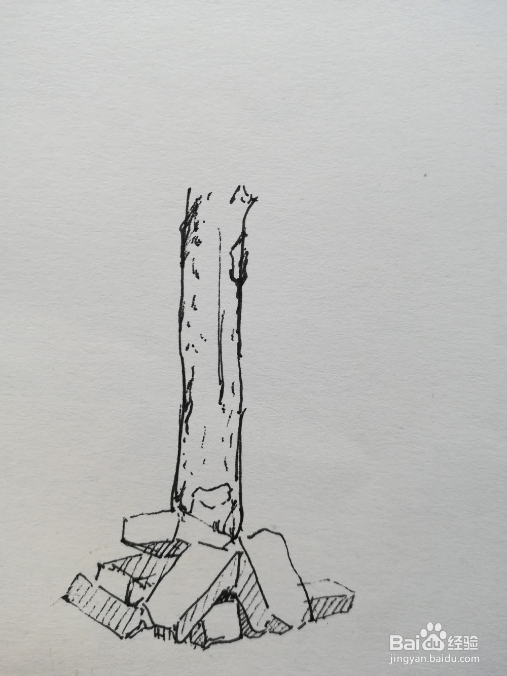 怎么画苹果树的线描速写