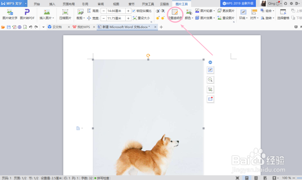 如何利用WPS抠图？