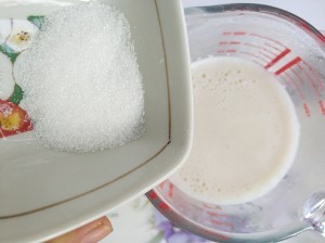 怎么做豆乳布丁