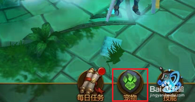 火炬之光宠物如何进行升星