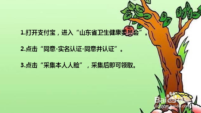 山东健康码怎么申请 山东怎么办健康码