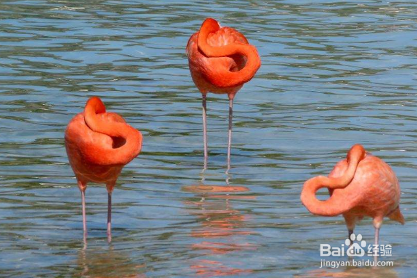 怎样的国家是好玩又不贵的？