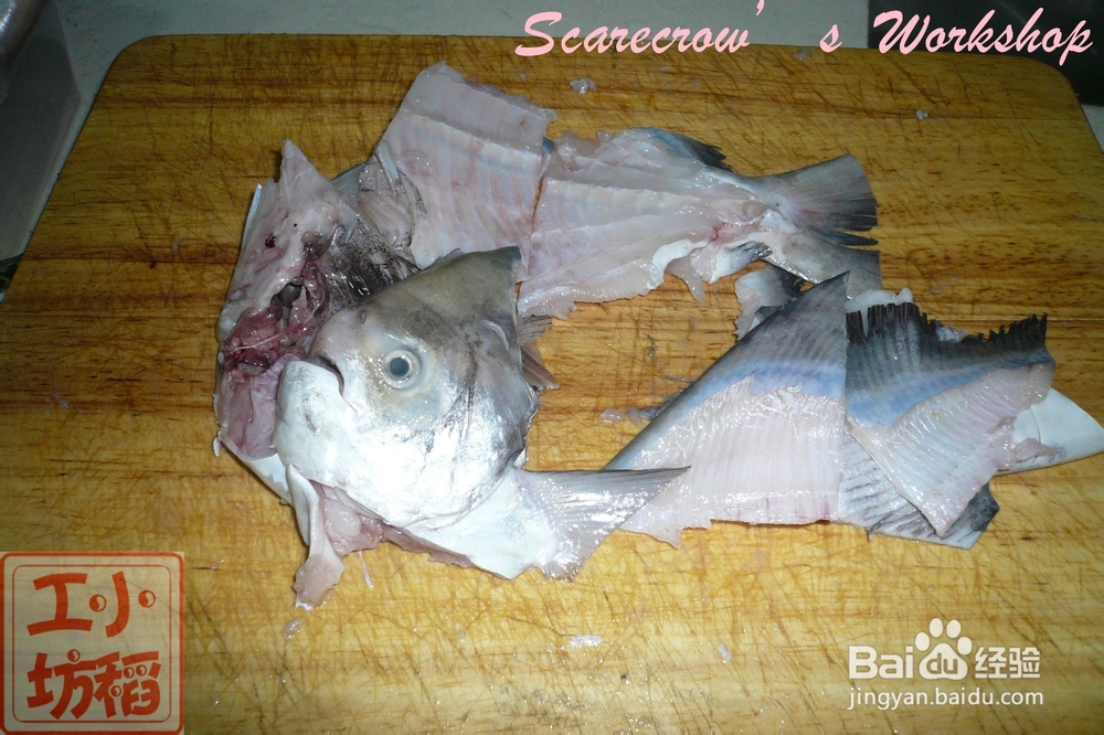 【天凉吃火锅】斗鲳鱼火锅