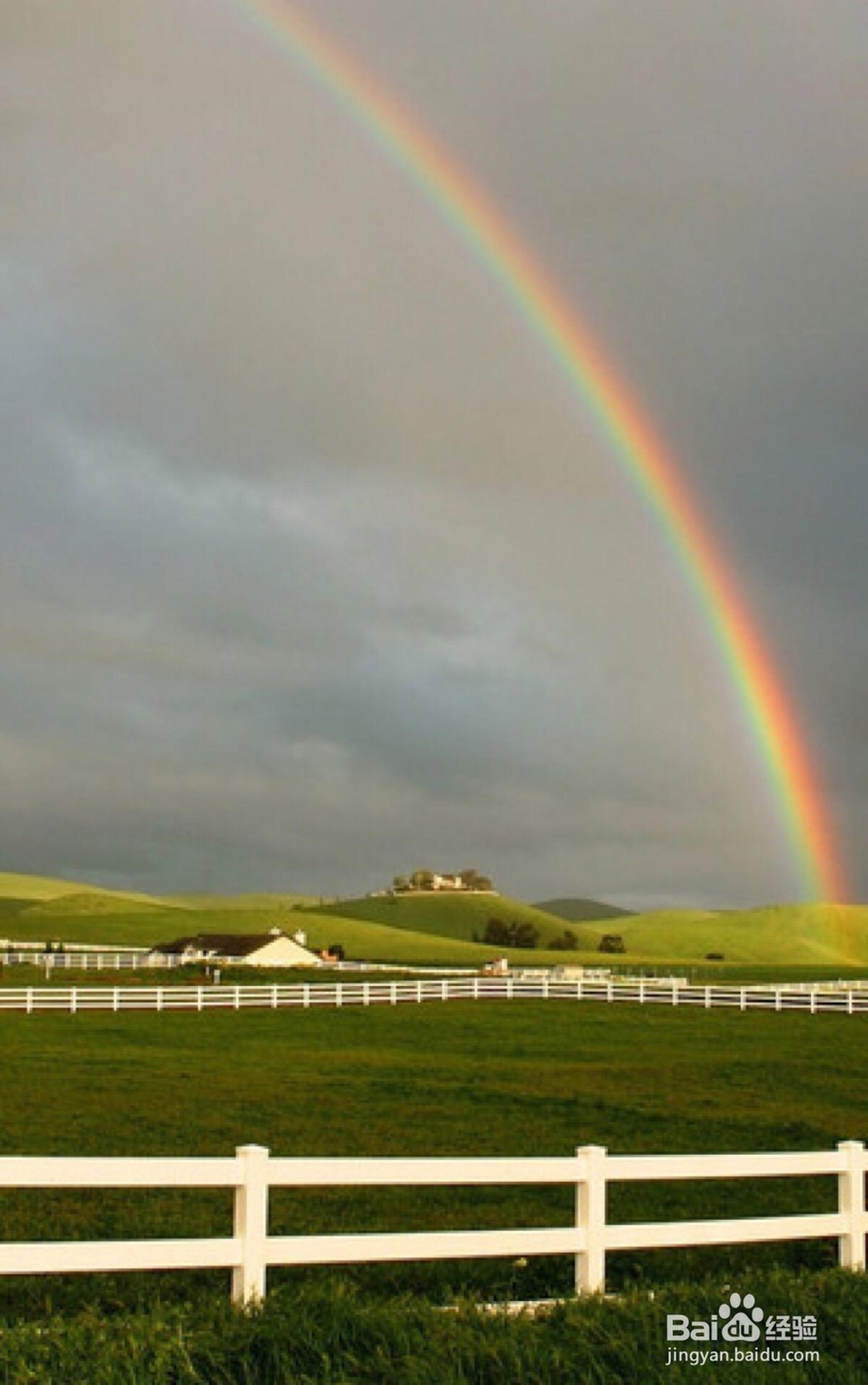 手机怎样看彩虹频道