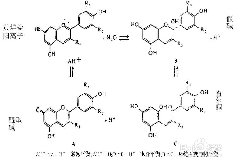 花青素是如何转化为冻干花青素的
