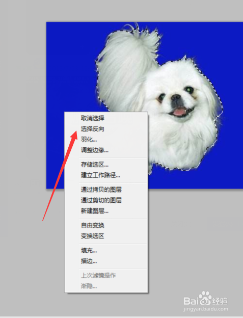 ps如何利用快速选择工具抠图