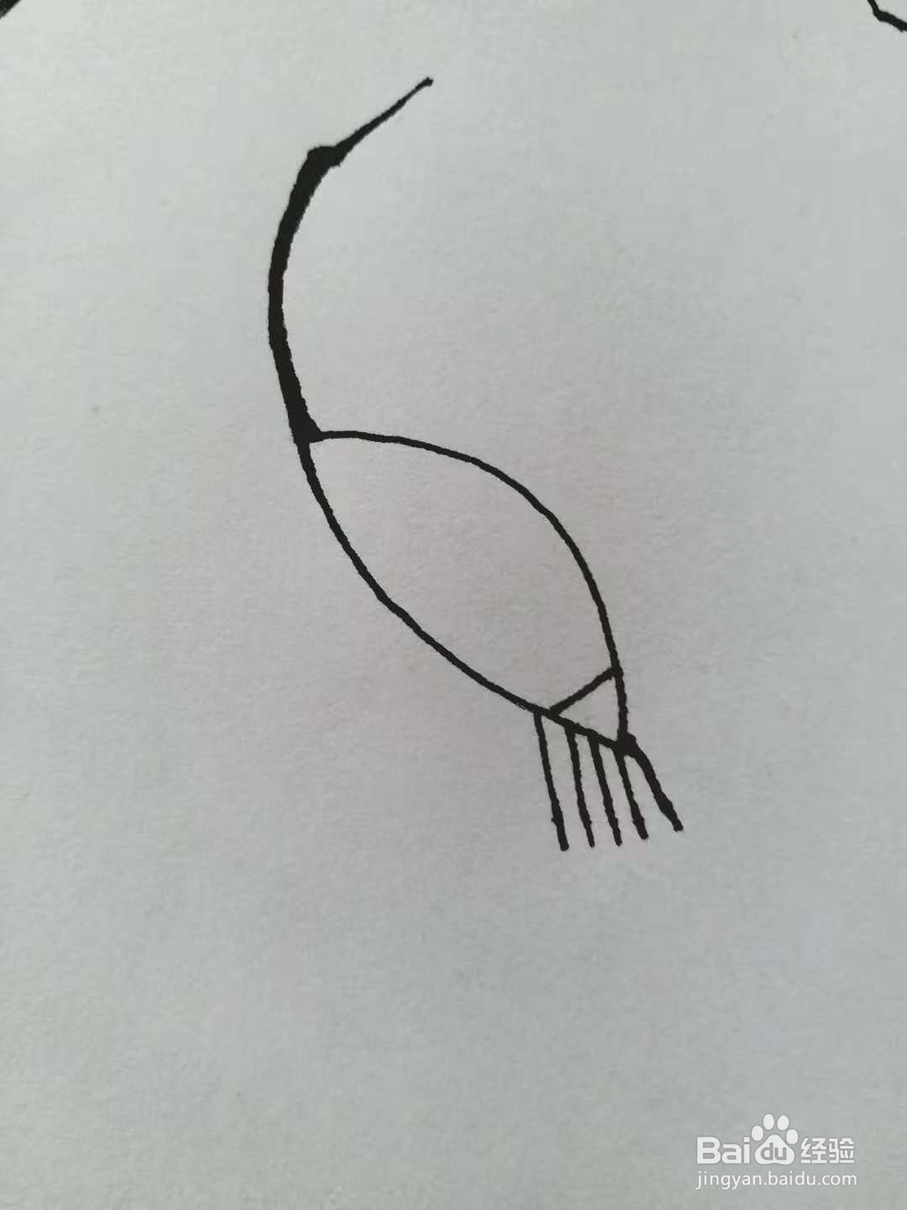 丹顶鹤的简笔画法《一》