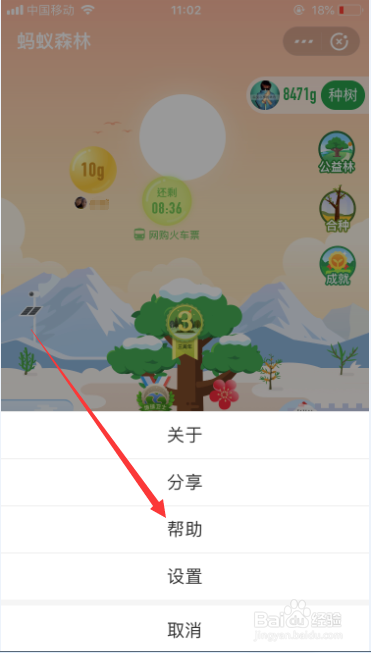 蚂蚁森林金色的能量球是怎么回事