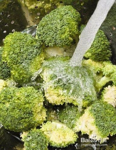 西兰花怎么洗才干净 百度经验 西兰花怎么洗才干净 百度经验