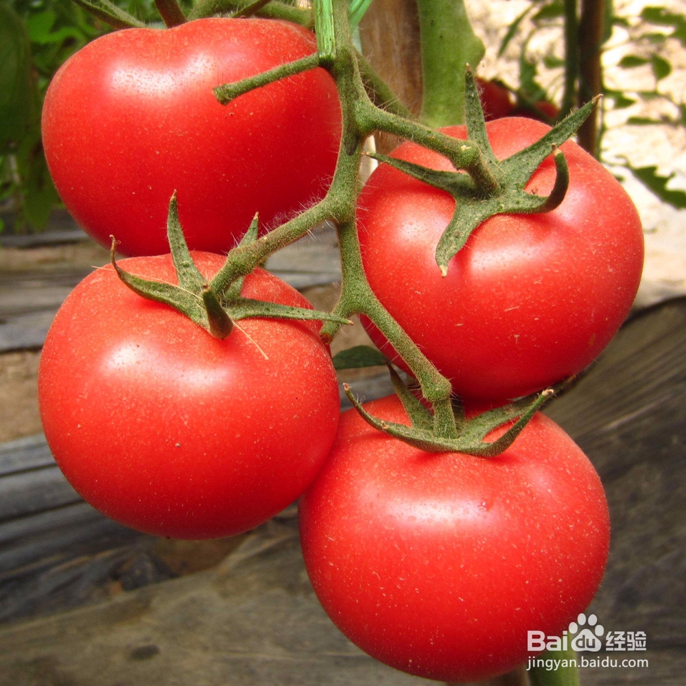 血栓发生前，身体会向你发送6个信号！