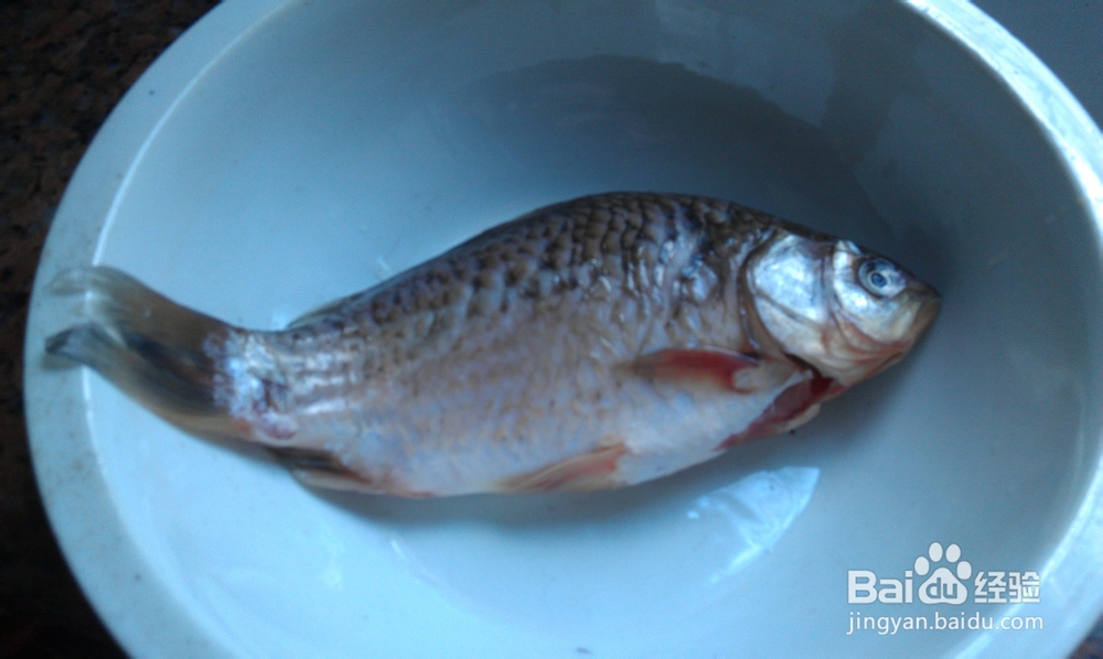 煎着吃真香--酱香煎鲫鱼