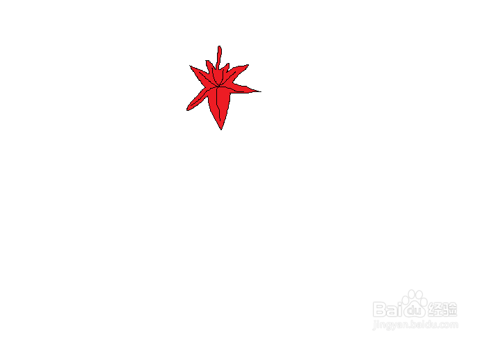 简笔画之枫叶的画法